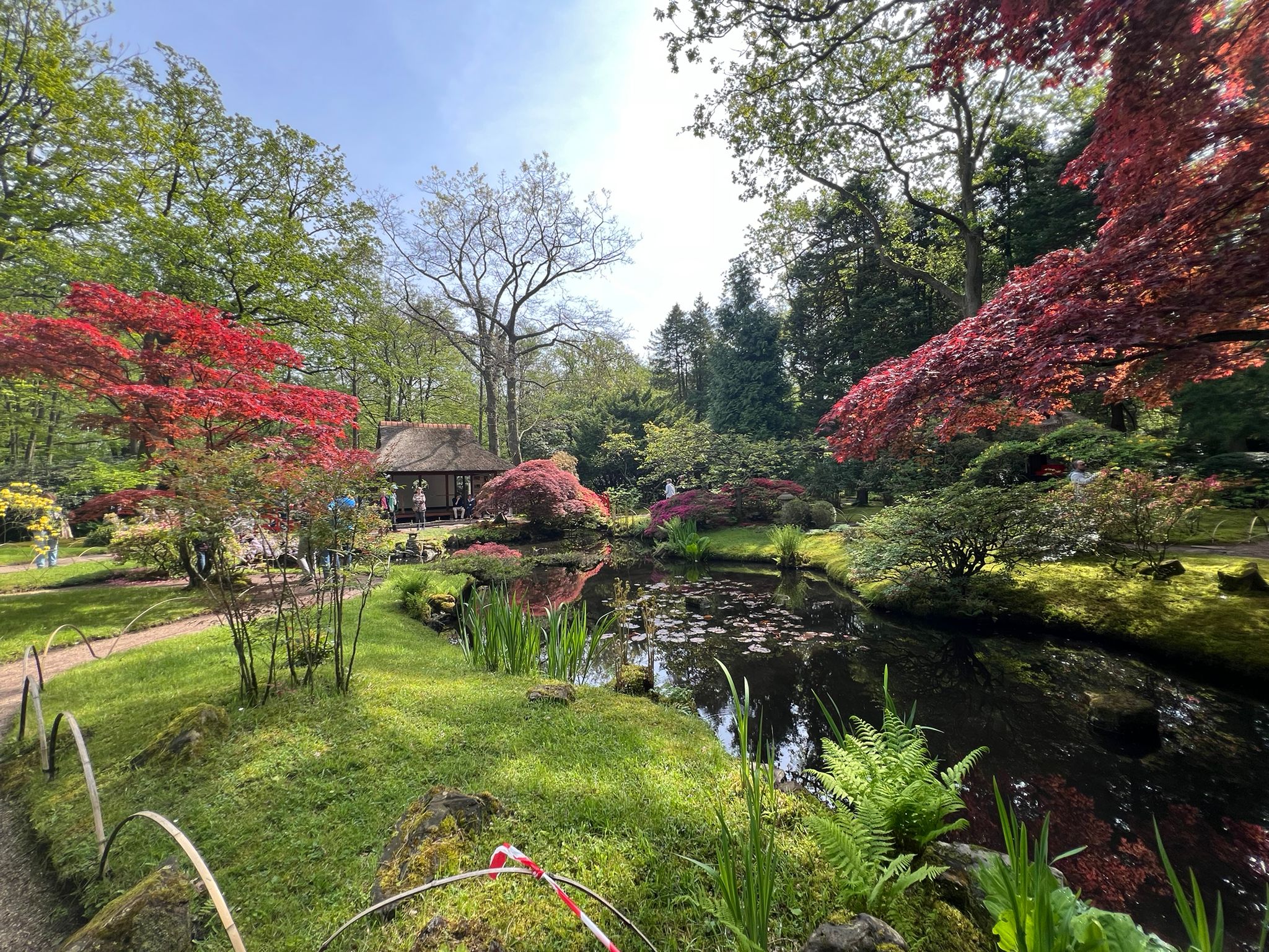 Japanse tuin,Studiereis,Zentuinen,Clingendael